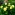 Пион-ИТО Бартазелла - обильно цветущий пион с огромными (до 25 см), махровыми цветками,...