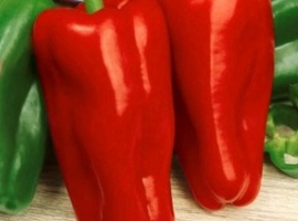 Минимальный заказ через сайт 5шт на сорт.
