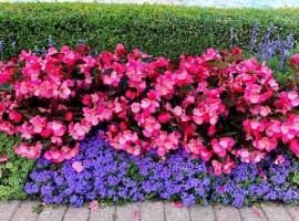 Цена за 20шт.
