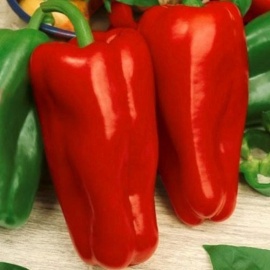 Минимальный заказ через сайт 5шт на сорт.
