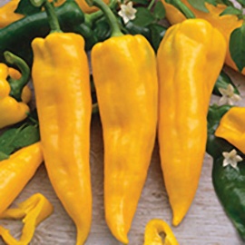 Заказ от 5 шт.
